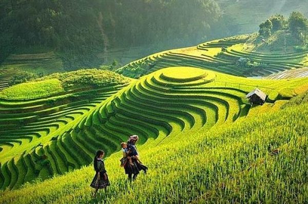 17 Trekking Entre los Arrozales de Sa Pa - Trekking tra i campi di riso a Sa Pa - 80€